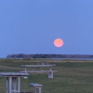 Meet your Posher, Jake